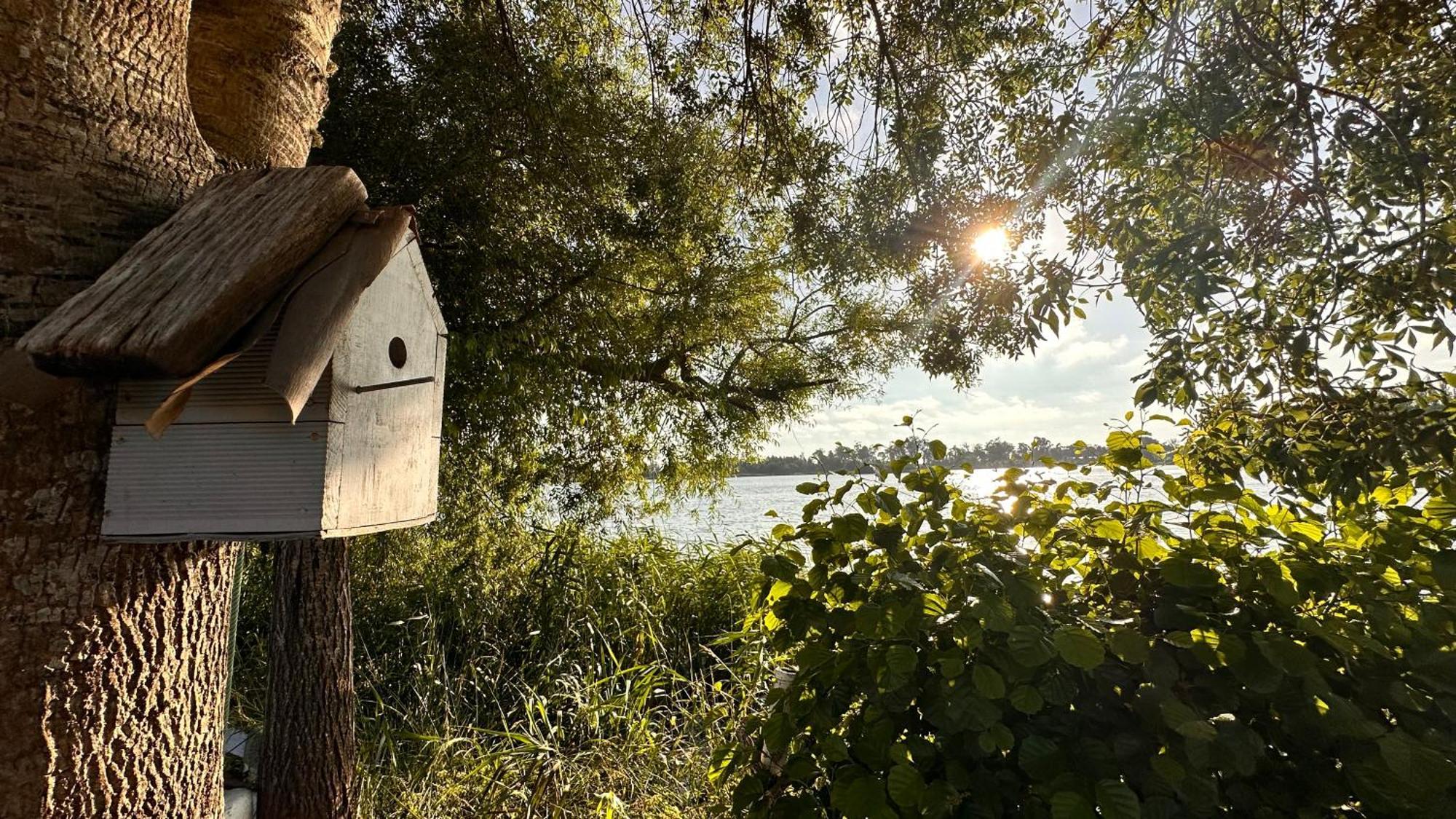 Casa Do Areal, Refugio Das Rotas Pedestres Em Mira Mira  Esterno foto